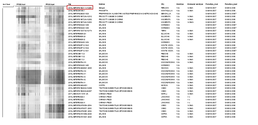 Consultazione del database nazionale LNR: profilo PFGE combinato ApaI /AscI GX6A12.0050/GX6A16.0007: ceppo, anno e matrice di isolamento, luogo di prelievo del campione, sierotipo e sierogruppo. Il ceppo clinico oggetto della relazione è evidenziato in rosso